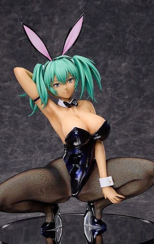 Shin Ikki Tousen Ryofu Housen B style Bunny Ver. (FREEing)