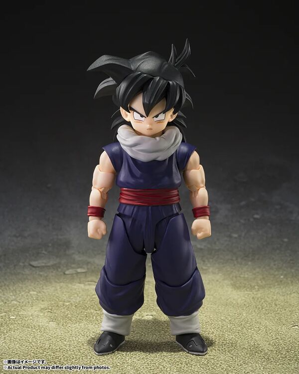 Dragon Ball Z Son Gohan S.H.Figuarts Z Fighters (Bandai Spirits) Dragon Ball Z Son Gohan S.H.Figuarts Z Fighters (Bandai Spirits)