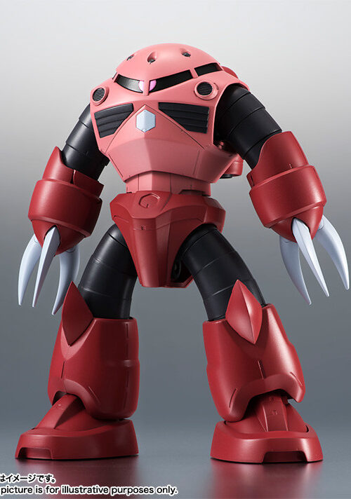 Kidou Senshi Gundam Char Aznables MSM 07S Zgok Side MS Robot Spirits ver. A.N.I.M.E. (Bandai Spirits)